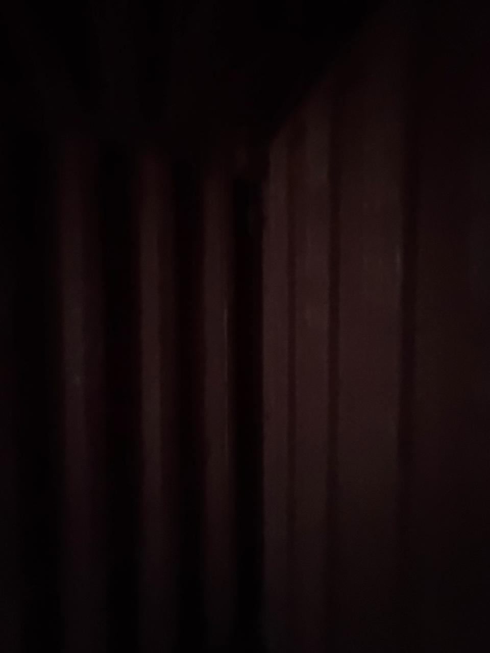 Морской контейнер CARU3083964